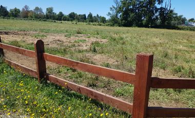 VENTA PARCELA 5000MTS Osorno