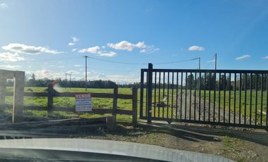 VENTA PARCELA 5000MTS Osorno