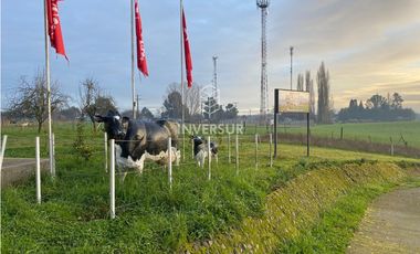 PROPIEDAD COMERCIAL RESTAURANT MS AMPLIO TERRENO EN SAN PABLO