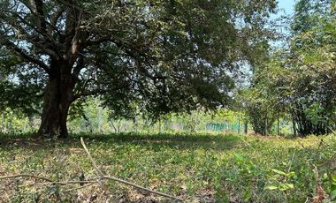 TERRENO VENTA LA PALMA POR AEROPUERTO VILLAHERMOSA