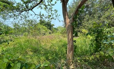 TERRENO VENTA LA PALMA POR AEROPUERTO VILLAHERMOSA