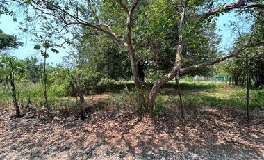 TERRENO VENTA LA PALMA POR AEROPUERTO VILLAHERMOSA