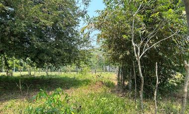 TERRENO VENTA LA PALMA POR AEROPUERTO VILLAHERMOSA