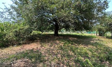 TERRENO VENTA LA PALMA POR AEROPUERTO VILLAHERMOSA