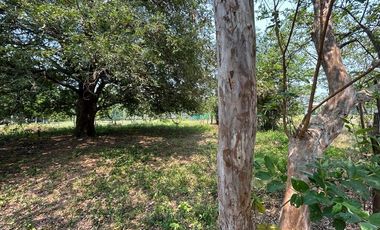 TERRENO VENTA LA PALMA POR AEROPUERTO VILLAHERMOSA