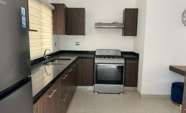 CASA EN RENTA FRACCIONAMIENTO, SANTA LUCIA SECTOR VIÑEDOS, TORREON COAHUILA