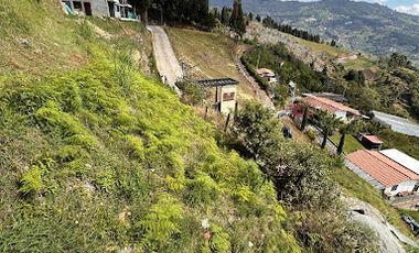 VENTA de LOTES en BELLO