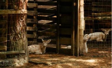 Hotel Golf en Venta en Villa de Allende