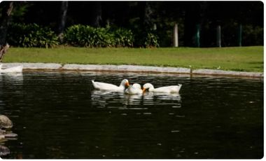 Hotel Golf en Venta en Villa de Allende