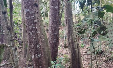 vendo casa finca Medellín, santa Elena  7.536 m2