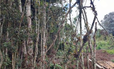 vendo casa finca Medellín, santa Elena  7.536 m2