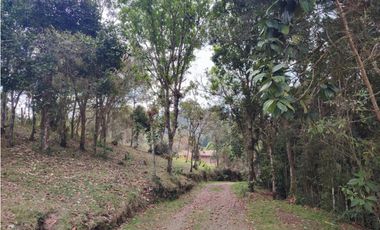 vendo casa finca Medellín, santa Elena  7.536 m2