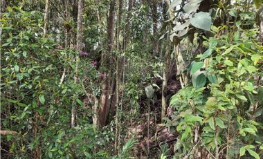 vendo casa finca Medellín, santa Elena  7.536 m2