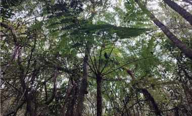 vendo casa finca Medellín, santa Elena  7.536 m2