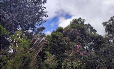 vendo casa finca Medellín, santa Elena  7.536 m2