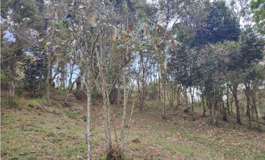 vendo casa finca Medellín, santa Elena  7.536 m2