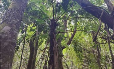 vendo casa finca Medellín, santa Elena  7.536 m2