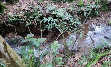 vendo casa finca Medellín, santa Elena  7.536 m2