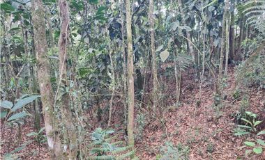 vendo casa finca Medellín, santa Elena  7.536 m2