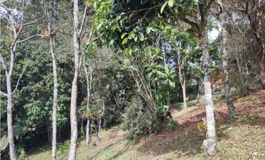 vendo casa finca Medellín, santa Elena  7.536 m2