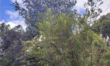 vendo casa finca Medellín, santa Elena  7.536 m2