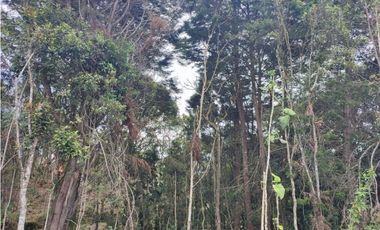 vendo casa finca Medellín, santa Elena  7.536 m2