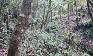 vendo casa finca Medellín, santa Elena  7.536 m2