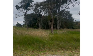 Lote en Venta en Medellín Alto del Palmas