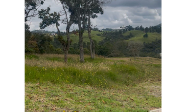 Lote en Venta en Medellín Alto del Palmas