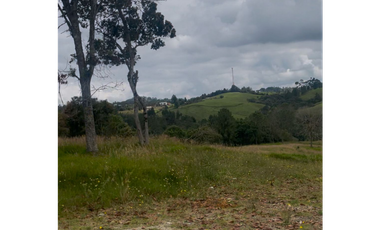 Lote en Venta en Medellín Alto del Palmas