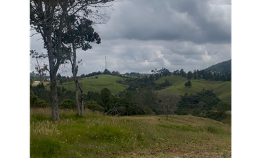 Lote en Venta en Medellín Alto del Palmas