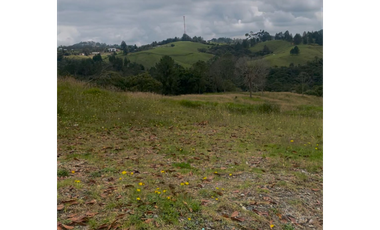 Lote en Venta en Medellín Alto del Palmas