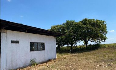 FINCA DE 994 HECTAREAS EN VENTA, PUERTO LOPEZ META