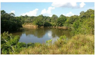 FINCA DE 610 HECTAREAS EN VENTA, PUERTO LOPEZ META