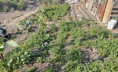 Terreno en Venta en Los Girasoles, Tijuana