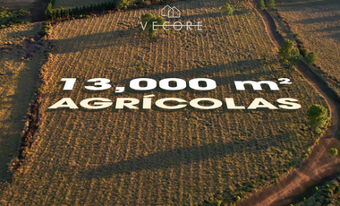 TERRENO EN RANCHO EN VENTA, EXCLUSIVO DESARROLLO, TAPALPA