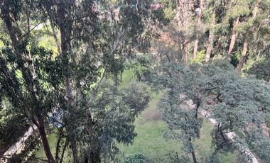Departamento bosques de las lomas