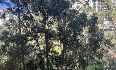 Departamento bosques de las lomas