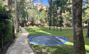 Departamento bosques de las lomas
