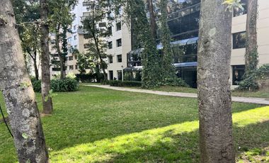 Departamento bosques de las lomas