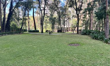 Departamento bosques de las lomas