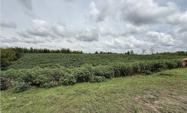 Se Vende Lote Rural Campestre Vista A Valle De Maravelez