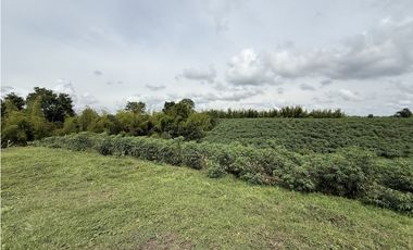 Se Vende Lote Rural Campestre Vista A Valle De Maravelez