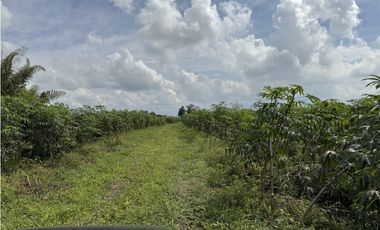 Se Vende Lote Rural Campestre Vista A Valle De Maravelez