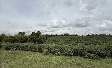 Se Vende Lote Rural Campestre Vista A Valle De Maravelez
