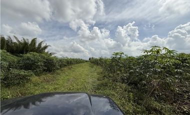Se Vende Lote Rural Campestre Vista A Valle De Maravelez