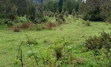Parcela en Venta en Puelo Bajo