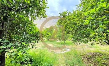 Parcela en venta en Diaguitas Valle del Elqui