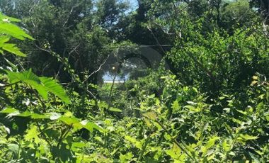 Terreno residencial en venta en Pueblo Atotonilco El Bajo