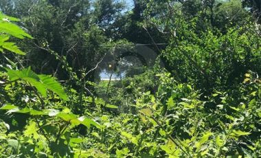 Terreno residencial en venta en Pueblo Atotonilco El Bajo